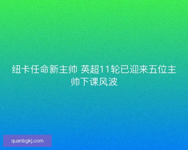 纽卡任命新主帅 英超11轮已迎来五位主帅下课风波 纽卡任命新主帅 英超11轮已迎来五位主帅下课风波